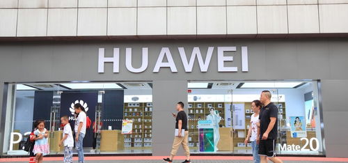 山東政采網上商城怎么加入