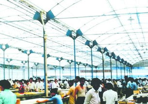 從臨沂商城看改革開放40年 雖是外地人已成新臨商