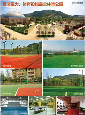 融僑杯攝影大賽12月20日頒獎盛典在即