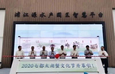 太湖蟹搶“鮮”上市啦!