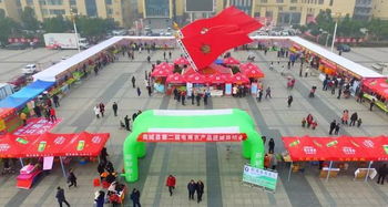 商城縣第二屆電商農產品進城展銷會成功舉辦